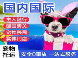兰州航空快运国际宠物托运 【国
